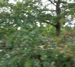 Erlebnispark Tripsdrill