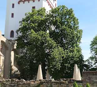 Die Kurfürstliche Burg Eltville