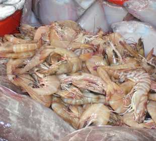 Fischstand