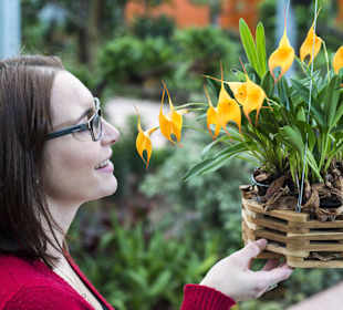 Raffeiner Orchideenwelt