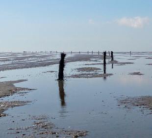 Der Weg durchs Watt nach Neuwerk