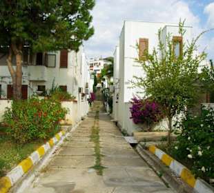 Inspirationen an d.Strandprom.entlang Nov.2010