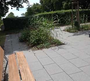 Friedhof Kuppingen