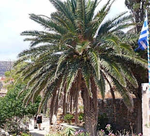 Vegetation auf Spinalonga