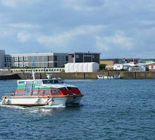 Dünenbus -Witte Kliff- Tupperschachtel