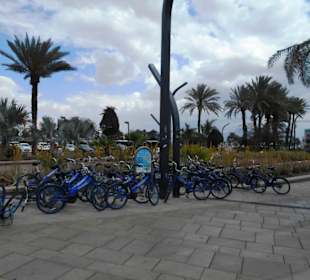 Strandpromenade Eilat