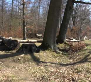 Geschichtlicher Lehrpfad Einsiedel