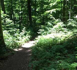 Premiumwanderweg "hochgelegen"