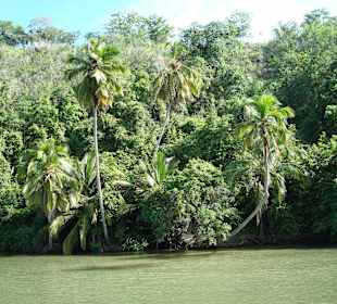 Rio Chavon