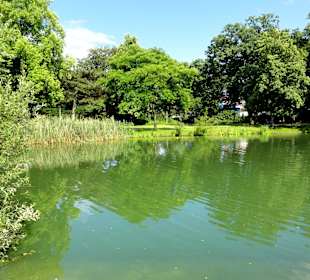 Der See im Waller Park