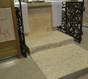 Evangelische Stadtkirche