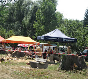 Kreativ Kettensägen am Rhein