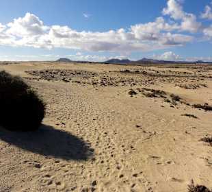 Impressionen aus der Dünenlandschaft