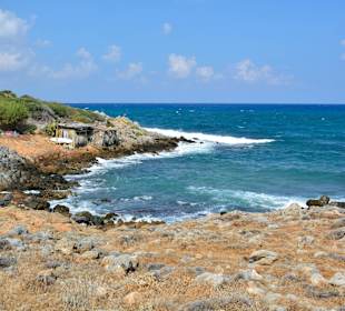 Ein paar Inspirationen von unserer Strandwanderung