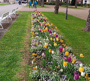 Kurpark Bad Kissingen