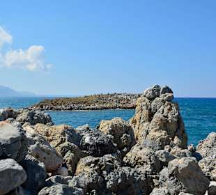 Ein paar Inspirationen von unserer Strandwanderung