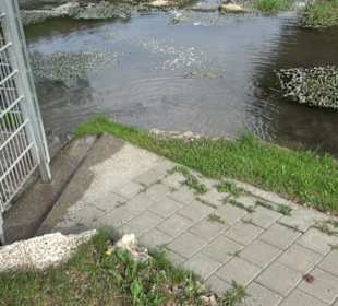 Widderanlage Stetten u. Holstein