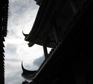 Chee Chin Khor