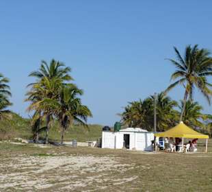 Buffet bei Mi Cayito