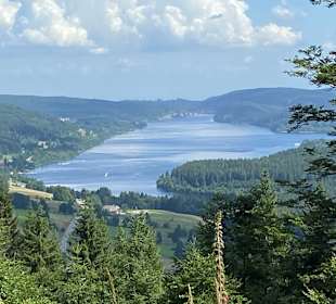 Wandern Hinterzarten
