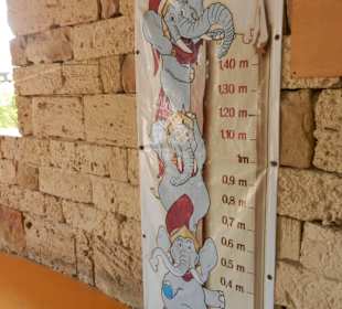 Körpergrößenanzeige