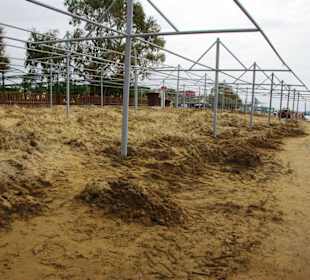 Vom Strand aus gesehen