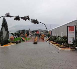 Raffeiner Orchideenwelt