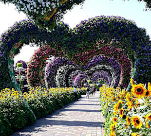 Miracle Garden