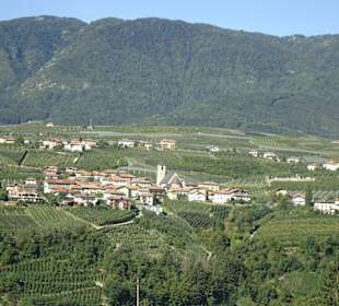 Blick auf Romeno im Trentino
