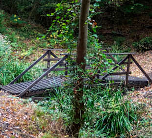 Der letzte intakte Wegeteil hinterm Festplatz