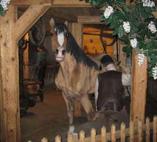 Schwarzwald-Impressionen