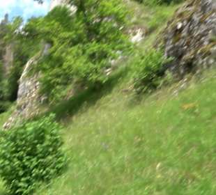 Tiefental Aichstetten