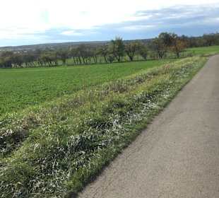 Kaiser- und Keltenrunde Stockach