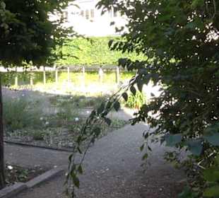 Botanischer Garten München