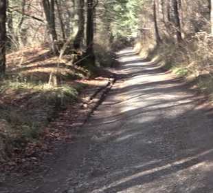 Hirschauer Spitzbergwegle (Premiumspazierwanderweg
