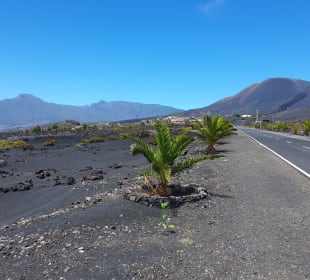 Wandern Los Cancajos