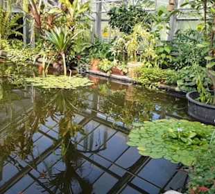 Botanischer Garten