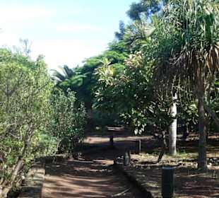 Taoro-Park – unterwegs im oberen Bereich