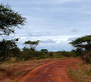 Landschaft 