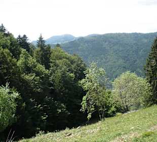 Aussicht vom Hasenhorn