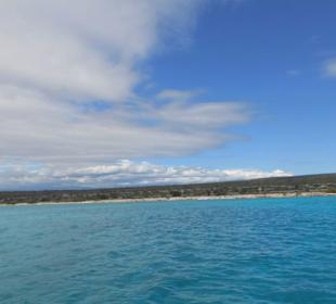 Bahia de las Aguilas