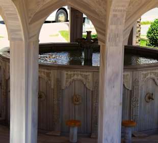 Die Moschee mit Rückfahrt Manavgat