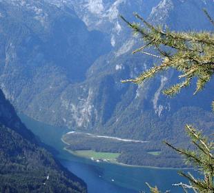 Blick auf den Königssee vom Jenner