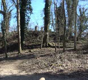 Denkmal für Fürst Friedrich III. von Salm-Kyrburg