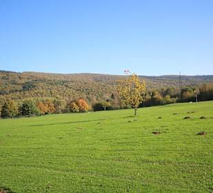 Blick in die Lanfschaft