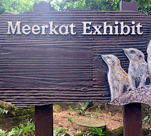 Singapur Zoo