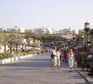 Naama Bay