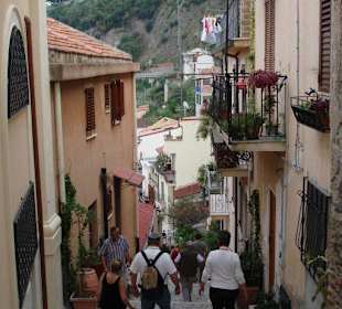 Scilla