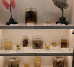 Seehundstation Norddeich in Norden