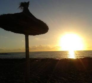 Playa del Bobo 11/2016